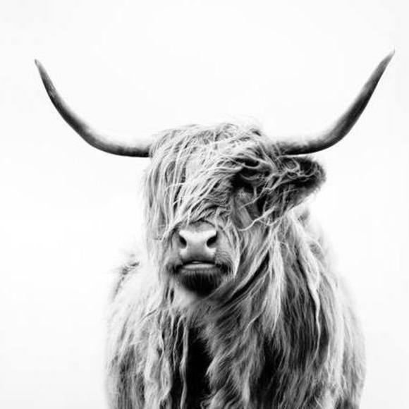 Meet your Posher, Jeni - Picture 1 of 1